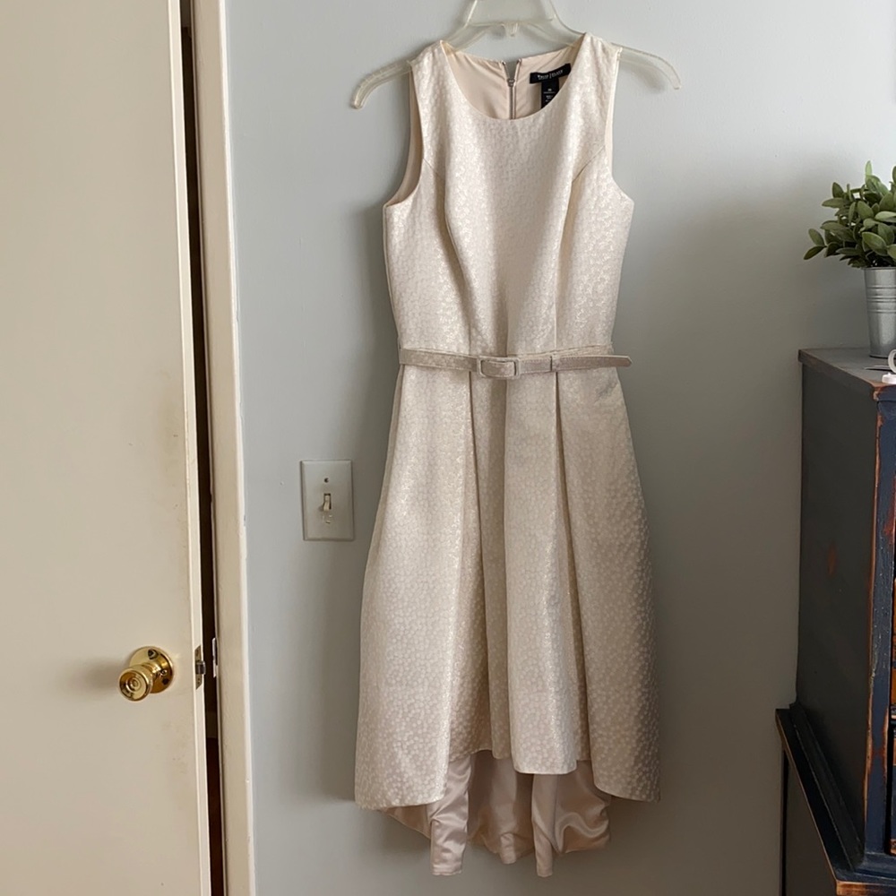 White House black market champagne tea dress